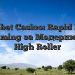 Roobet Casino: Rapid‑Fire Gaming за Модерниот High‑Roller