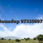 Roundup 973356973