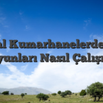 Sanal Kumarhanelerde Slot Oyunları Nasıl Çalışır?