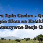 Sava Spin Casino – Quick Spin Slots na Krótkie, Intensywne Sesje Gry