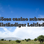 Seriöses casino schweiz — vollständiger Leitfaden