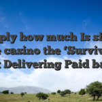 Simply how much Is sic bo online casino the ‘Survivor 50’ Cast Delivering Paid back?
