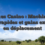 Stakes Casino : Machines à sous rapides et gains express en déplacement
