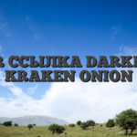 TOR ССЫЛКА DARKNET KRAKEN ONION