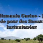 Talismania Casino – Jeu Rapide pour des Sensations Instantanées