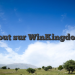 Tout sur WinKingdom