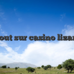 Tout sur casino lizaro