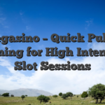 Vegasino – Quick‑Pulse Gaming for High‑Intensity Slot Sessions