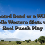 Wanted Dead or a Wild – Snelle Western Slots voor Snel‑Punch Play