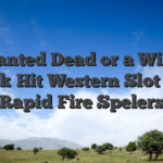 Wanted Dead or a Wild: Quick‑Hit Western Slot voor Rapid‑Fire Spelers