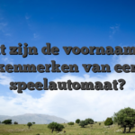 Wat zijn de voornaamste kenmerken van een speelautomaat?