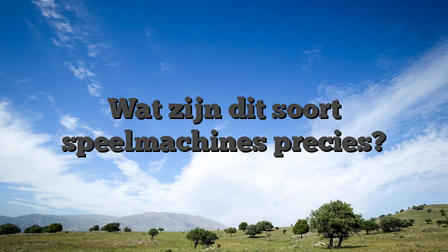Wat zijn dit soort speelmachines precies?