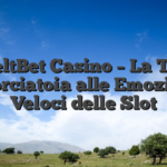 WeltBet Casino – La Tua Scorciatoia alle Emozioni Veloci delle Slot