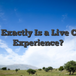 What Exactly Is a Live Casino Experience?
