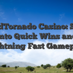 WildTornado Casino: Spin Into Quick Wins and Lightning‑Fast Gameplay