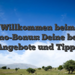 Willkommen beim Casino-Bonus: Deine besten Angebote und Tipps