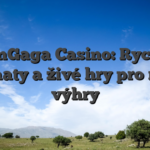 WinGaga Casino: Rychlé automaty a živé hry pro rychlé výhry