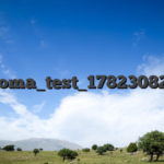 __loma_test_1782308229