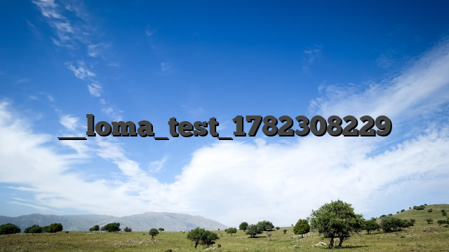 __loma_test_1782308229