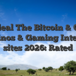19+ Ideal The Bitcoin & Crypto Casinos & Gaming Internet sites 2026: Rated