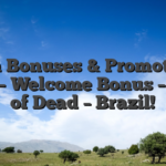1win Bonuses & Promotions 2026 – Welcome Bonus – Book of Dead – Brazil!