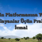 1win Platformasına Yeni Başlayanlar Üçün Praktik İcmal