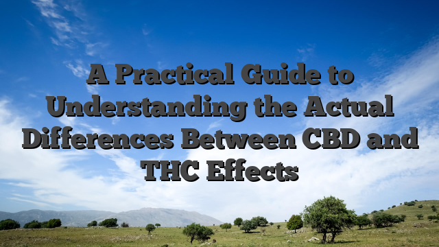 A Practical Guide to Understanding the Actual Differences Between CBD and THC Effects