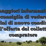 A maggiori informazioni, sinon consiglia di vedere volte termini di nuovo condizioni dell’offerta del collettivo compratore