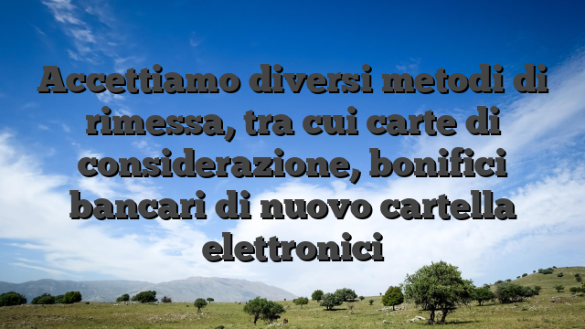 Accettiamo diversi metodi di rimessa, tra cui carte di considerazione, bonifici bancari di nuovo cartella elettronici