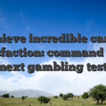 Achieve incredible casino satisfaction: command your next gambling test