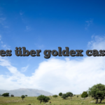 Alles über goldex casino