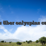 Alles über onlyspins casino
