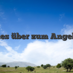 Alles über zum Angebot