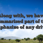 Along with, we have summarised part of the emphasize of any driver