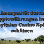 Anonymität durch Kryptowährungen beim digitalen Casino Spiel schützen