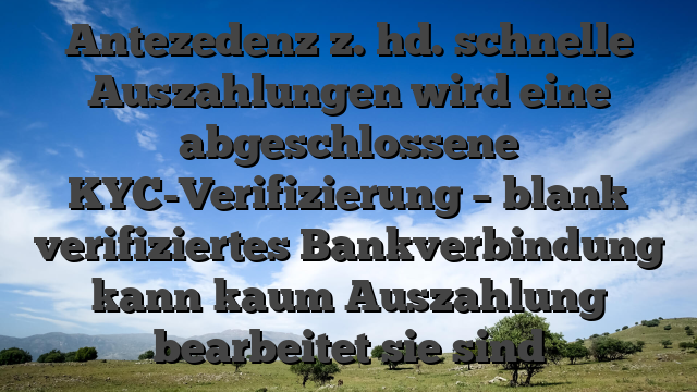 Antezedenz z. hd. schnelle Auszahlungen wird eine abgeschlossene KYC-Verifizierung – blank verifiziertes Bankverbindung kann kaum Auszahlung bearbeitet sie sind