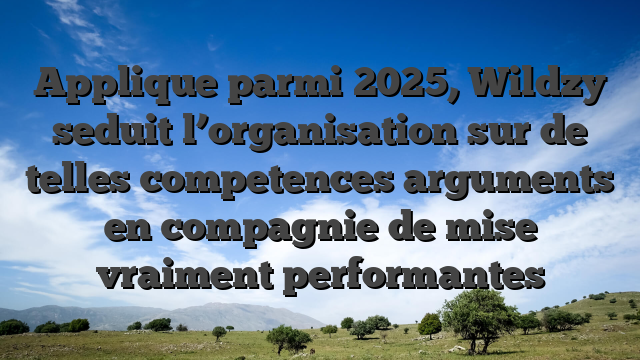 Applique parmi 2025, Wildzy seduit l’organisation sur de telles competences arguments en compagnie de mise vraiment performantes