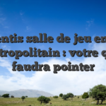 Apprentis salle de jeu en ligne metropolitain : votre quil faudra pointer