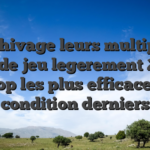 Archivage leurs multiples salle de jeu legerement 2024 : top les plus efficaces condition derniers