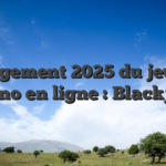 Arrangement 2025 du jeu pour casino en ligne : Blackjack