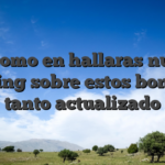 Asi� como en hallaras nuestro ranking sobre estos bonos al tanto actualizado