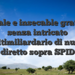 Attuale e insecable gratifica senza intricato multimiliardario di nuovo diretto sopra SPID