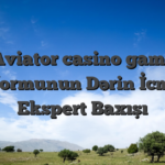 Aviator casino game Platformunun Dərin İcmalı – Ekspert Baxışı