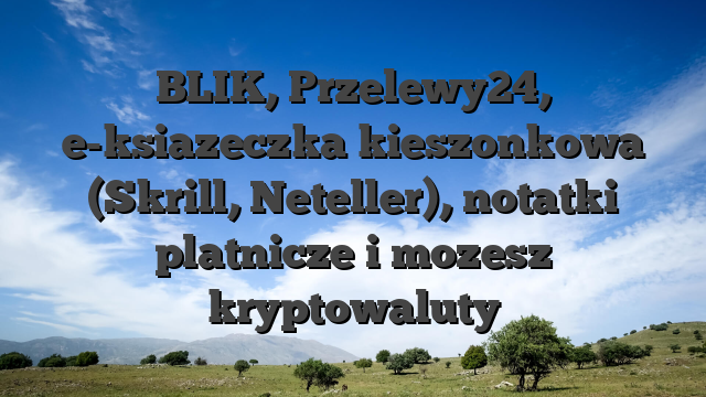 BLIK, Przelewy24, e-ksiazeczka kieszonkowa (Skrill, Neteller), notatki platnicze i mozesz kryptowaluty