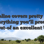 BetOnline covers pretty much everything you’ll predict out-of an excellent U