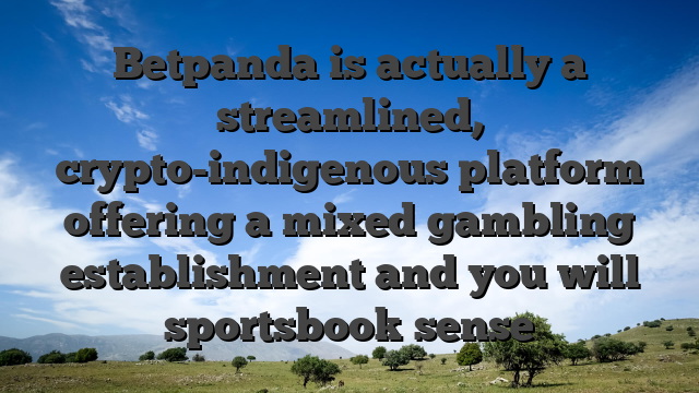 Betpanda is actually a streamlined, crypto-indigenous platform offering a mixed gambling establishment and you will sportsbook sense