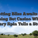 Betting Bliss Awaits at Koning Bet Casino Where Every Spin Tells a Story