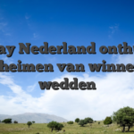Betway Nederland onthult de geheimen van winnend wedden