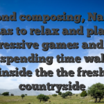 Beyond composing, Nathan has to relax and play aggressive games and you may spending time walking inside the the fresh countryside