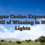BluVegas Casino Exposed The Thrill of Winning in Neon Lights